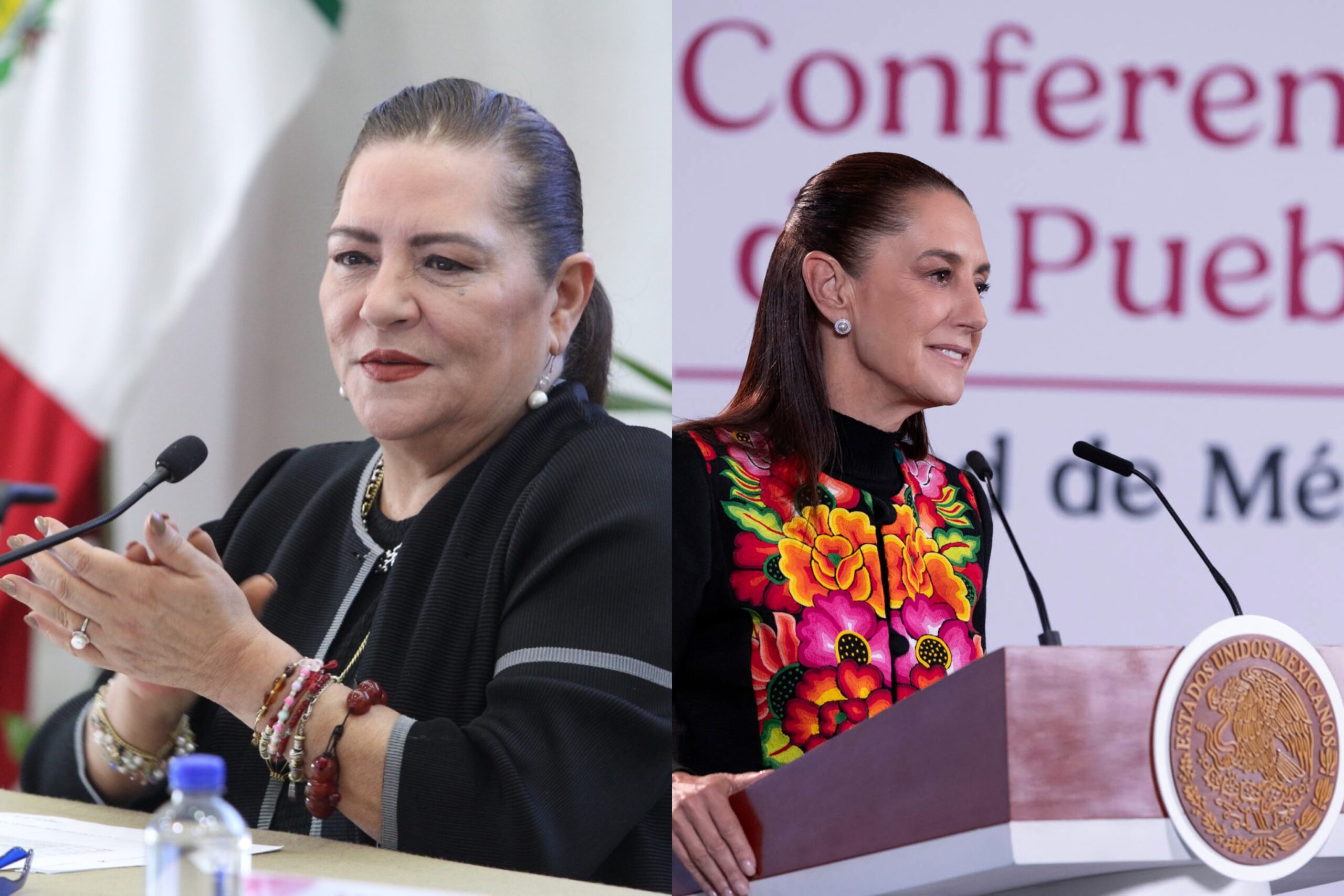 Renuncia Guadalupe Taddei al INE; Sheinbaum pide auditar contrataciones